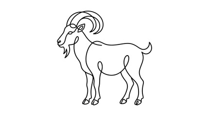 Fototapeta premium A line drawing of a standing goat.
