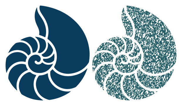 Two stylized nautilus shells, one solid blue, the other textured in teal, showcasing natural spiral patterns.