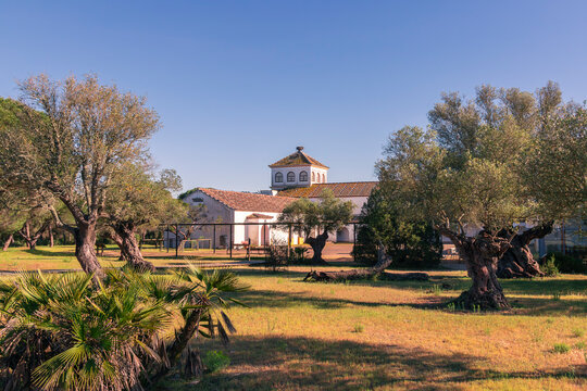 palacio del Acebuche con olivos y un nido de cig&uuml;e&ntilde;a asomando el cuelloy la cabeza de una cig&uuml;e&ntilde;a, parque nacional de do&ntilde;ana, Almonte, Huelva, Espa&ntilde;a