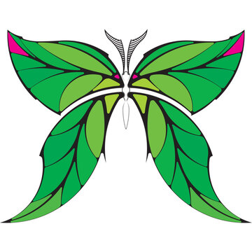Butterlfy Leaf Spring