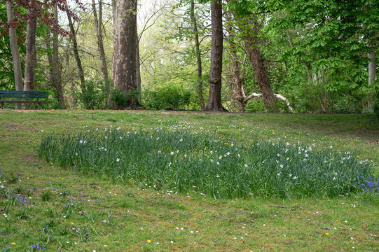 Flower bed Koning Albert I laan Bruges