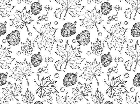 High-fidelity vector set featuring a comprehensive collection of diverse textured black brush strokes.