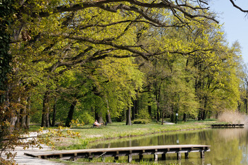 park nad stawem w piękny wiosenny dzień © Arek mały