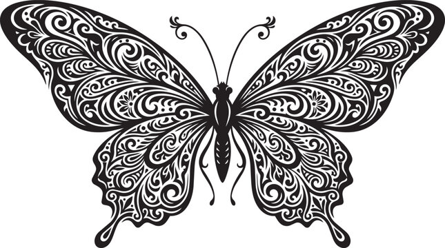 butterfly vector illustration