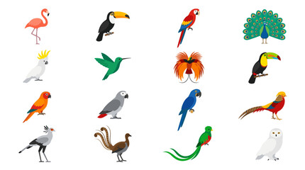 Fototapeta premium Vibrant collection of diverse exotic birds in flat design style illustrating various species