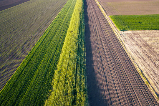 Rural area of wheat and plowed fields. Aerial view.