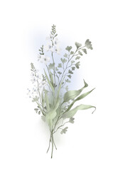 Fototapeta premium Delicate blue wildflower bouquet watercolor botanical arrangement isolated on white background