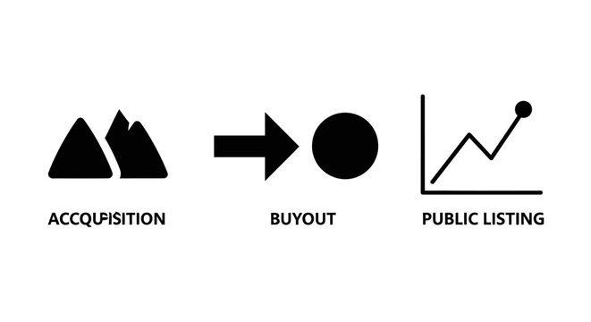 Business process flow: acquisition, buyout, public listing, stock market growth