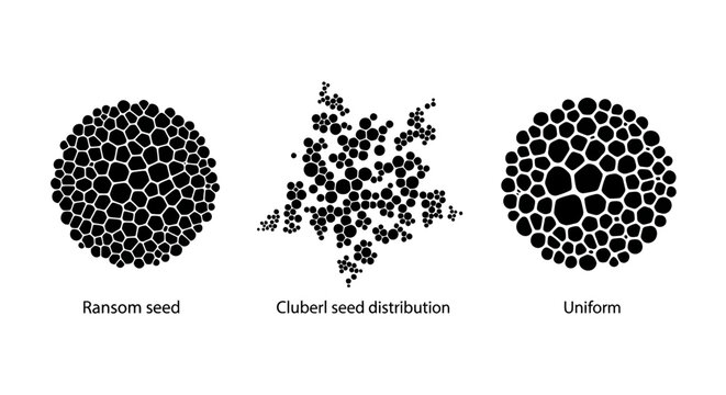 Seed Distribution Patterns: Ransom, Cluster, Uniform