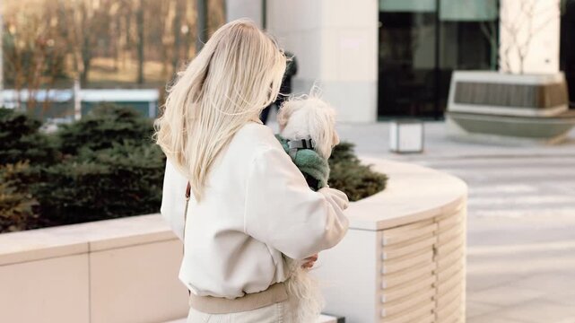 4K slow motion portrait of stylish woman holding small white Maltese dog in arms. Soft natural light, urban background and warm emotional connection between owner and pet.