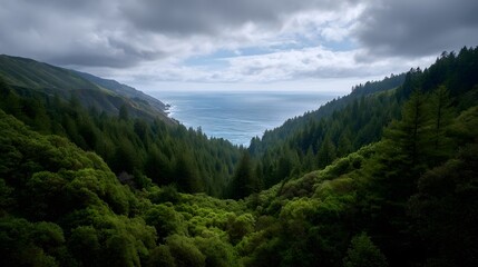 Fototapeta premium Dense lush forest slopes descend towards a vast misty ocean under a dramatic cloudy sky