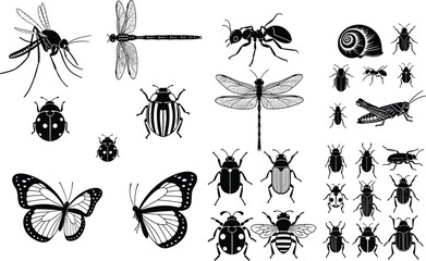 Detailed vector illustration set of diverse insects and snail including mosquitoes, dragonflies, ants, beetles, butterflies, bees, and grasshoppers © Muntaseer