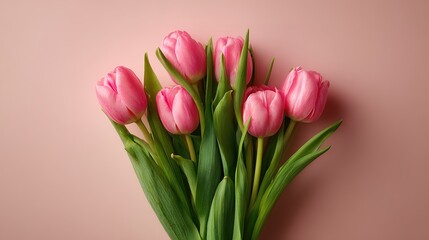 Obraz premium Pink Tulips Bouquet on Soft Pink Background Wallpaper