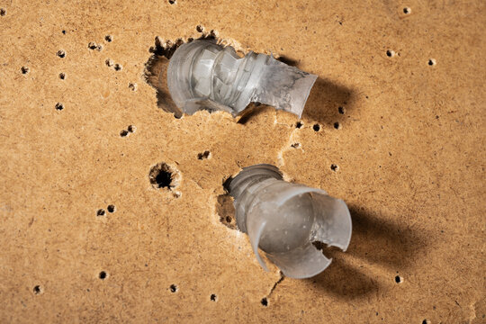 Close-up of plastic shotgun wads embedded in particle board target after shooting practice at a gun range