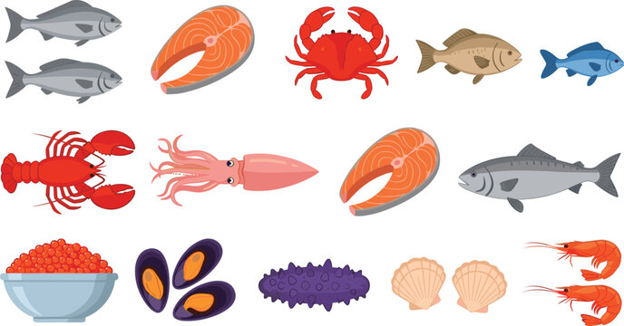 seafood vector set. tuna, salmon steaks, crab, small fish, lobster, squid, mackerel, salmon fillet, sea urchin, mussels, scallops, shrimp, and salmon roe.  culinary, seafood,marin.