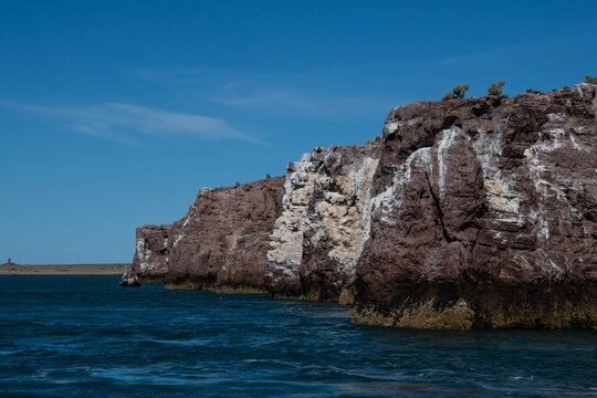 Ria de Puesto Deseado Nature Reserve, Santa Cruz Province, Patagonia, Argentina.