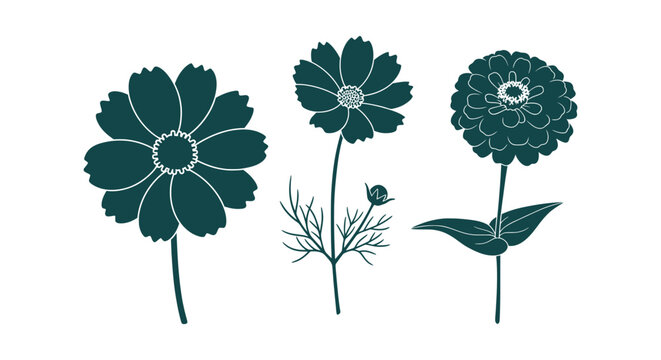 Minimalist dark green cosmos and zinnia floral silhouettes collection for decorative botanical art.