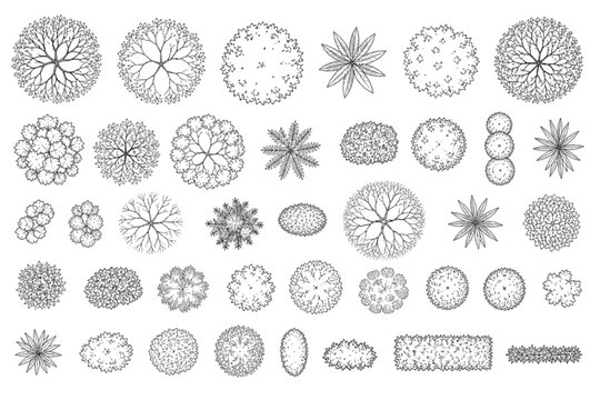 Extensive vector set of diverse tree and shrub top views for CAD architectural landscape planning, essential for urban design and garden layout blueprints