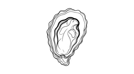 Hand drawn illustration of a single oyster shell. © Mahlul Qiyam