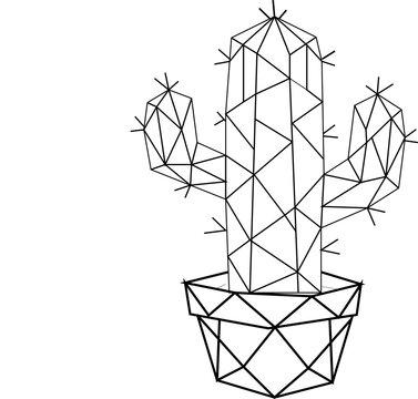 Geometric_the cactus// Trazo
