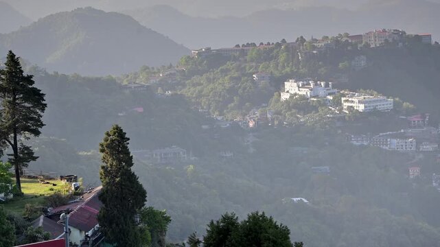 A misty Mussoorie hillside dotted with layered hotels and homes emerges through soft sunlight, with tall deodar trees and sloping rooftops in the foreground overlooking a hazy valley.