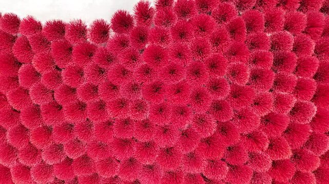 Drone rising from close up of red incense sticks drying in Vietnam