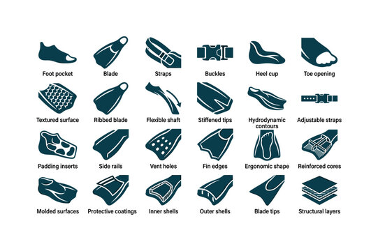 Training fin structures like foot pockets, blades, straps, buckles, heel cups, toe openings, textured surfaces, ribbed blades,