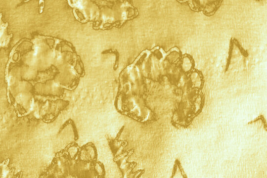 Cream Texture Watercolour. Retro Child Zoo.
