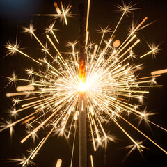 Obraz premium A dazzling fireworks explosion illuminating the night sky