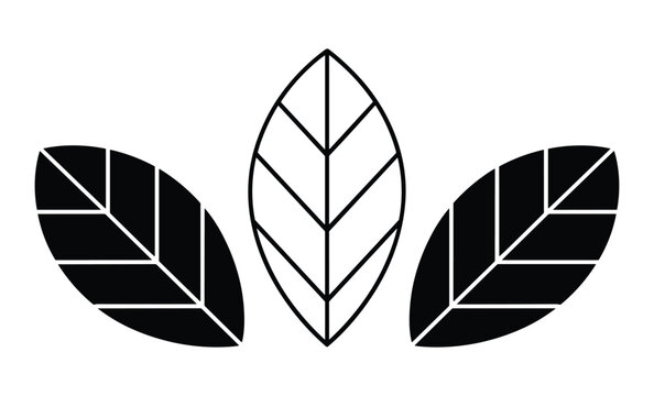 Leaves organized in a triplet pattern highlight two dark solid botanical forms beside a central white outlined leaf to offer a balanced representation of plant life for environmental design work.