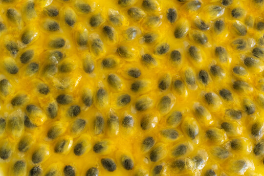 Passion fruit seeds textured background