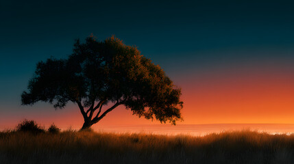 Fototapeta premium Clean composition with tree silhouette and smooth gradients 