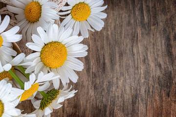 Obraz premium Macro shot of fresh daisies on a weathered wooden surface. High angle view with large empty space for text.