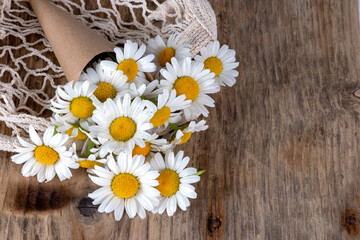 Obraz premium Fresh chamomile flowers in a paper cone and a mesh bag on a rustic wooden background with copy space for text