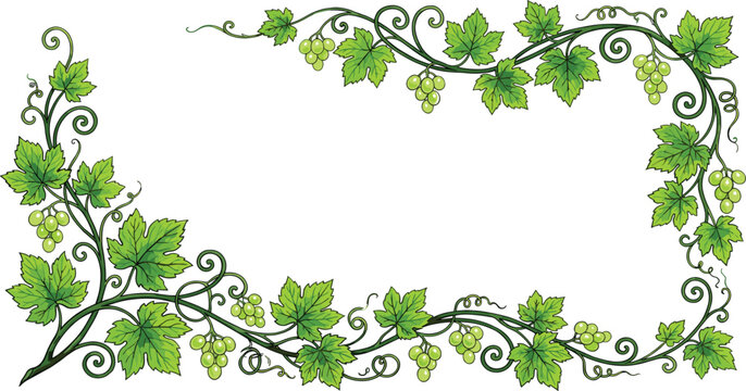 Elegant Grapevine Frame Border Illustration with Green Leaves, Tendrils, and Clusters of Green Grapes