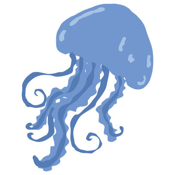 Blue jellyfish vector element with long tentacles in hand drawn doodle style isolated on white for marine life design and ocean themed projects