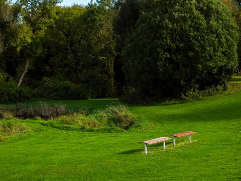 Sunlit bench sits quietly on green grass. Trees loom softly behind, bathed in golden light. Shade and sun dance across the meadow's gentle slope. Perfect for quiet moments or peaceful outdoor scenes