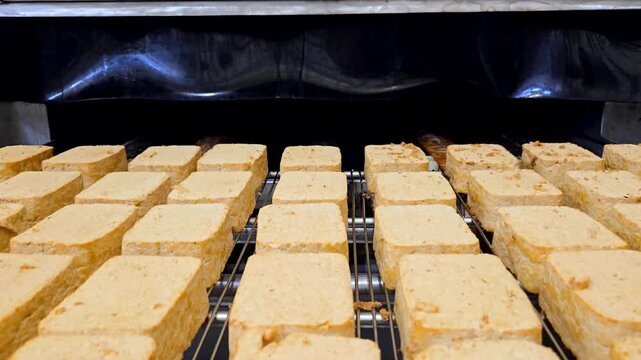 Smoked tofu blocks moving on a stainless steel wire mesh conveyor belt in a food processing factory. Industrial smoking production line.