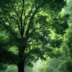 Obraz premium Tall Green Tree Surrounded by Lush Forest in Daylight