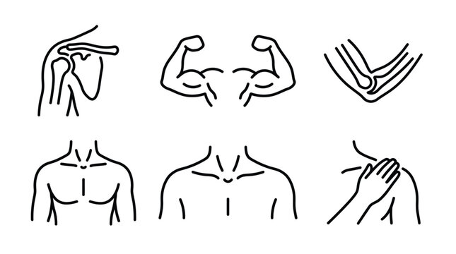 Upper Body Anatomy and Muscle Structure Icons