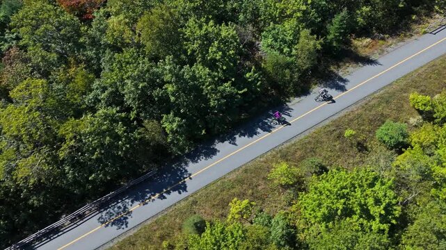 Drone Top View Cyclist Winding Forest Road Halifax Canada Nature Park Nova Scotia Green Trees Calm Outdoor Activity Scenic Landscape 4K
