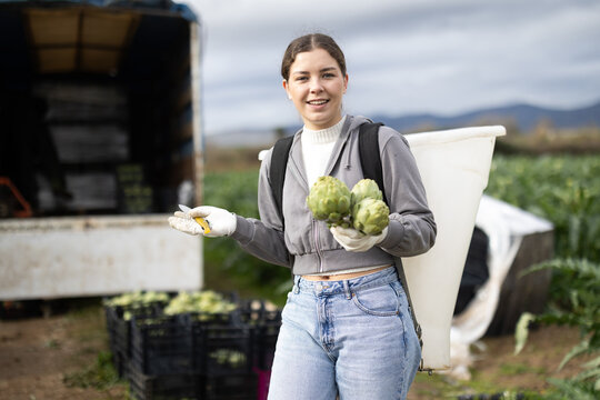 Girl worker standing in field after completing tasks, harvesting artichoke at local farmers garden bed. From seedbed to supermarket window table