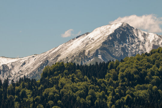 Pindus mountains Greece snow peak above forest spring landscape.
