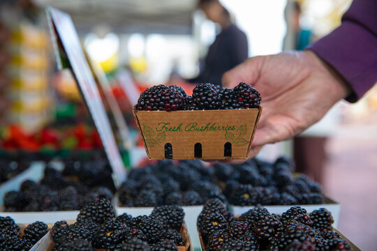 Close-up of hand holding blackberry basket at market