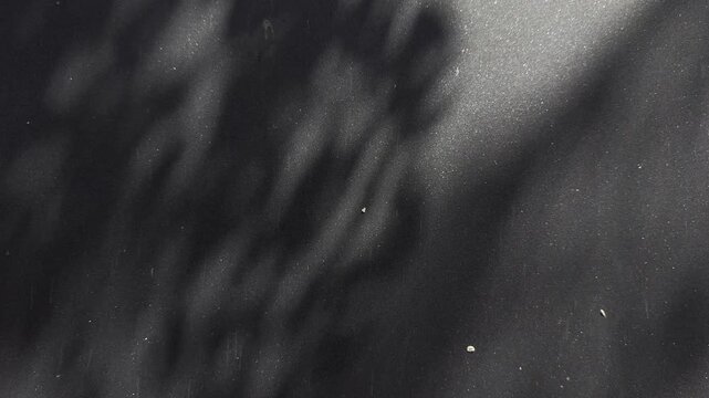 Shadows of fluttering leaves cast on a grey wall on a sunny day. A natural abstract pattern created by sunlight and moving foliage, forming a textured and atmospheric background.