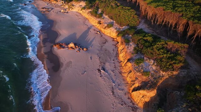 Aerial view of the sandy beach and red cliffs of Costa Paradiso bordered by a dense pine forest during sunset in Costa Paradiso, Sardegna, Italy.