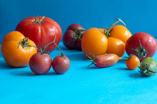 Heirloom tomatoes on blue
