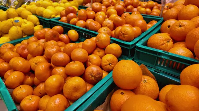 Smooth camera movement over a diverse selection of fresh fruits in green crates at a grocery store, showcasing oranges, lemons, watermelons, kiwis, and coconuts available for purchase
