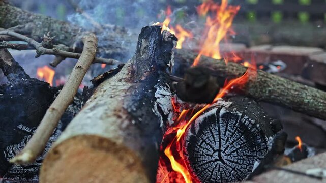 Logs catch fire and produce smoke while flames dance among wood during a night gathering at a campsite in the woods. People enjoy warmth and cooking over the fire.