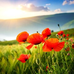 Obraz premium Vibrant red poppies in green field.